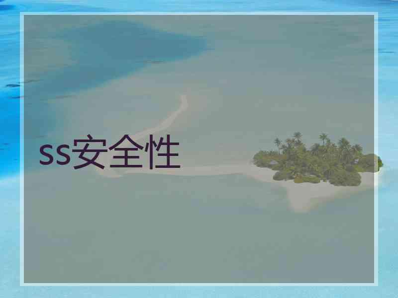 ss安全性