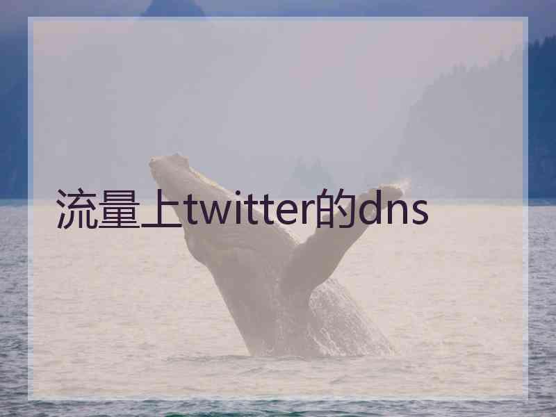 流量上twitter的dns