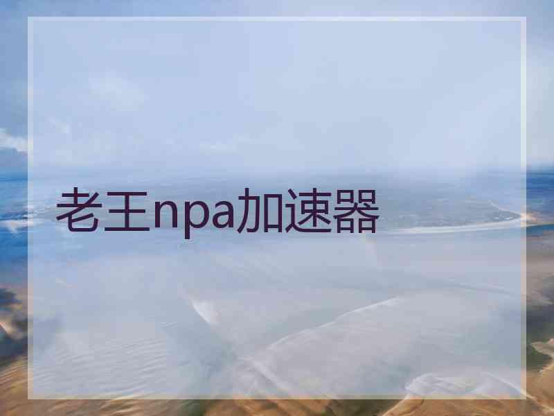 老王npa加速器