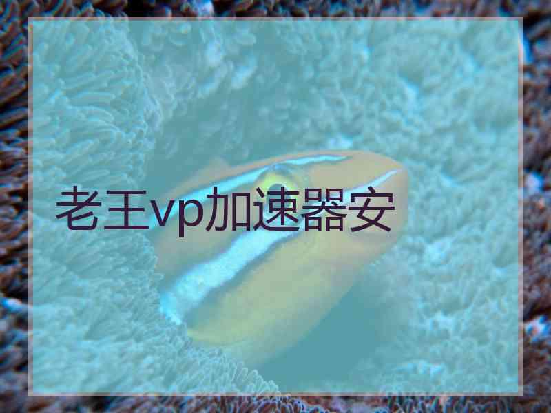 老王vp加速器安