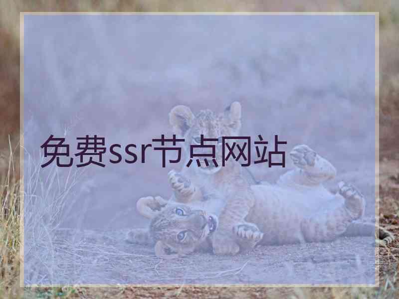 免费ssr节点网站
