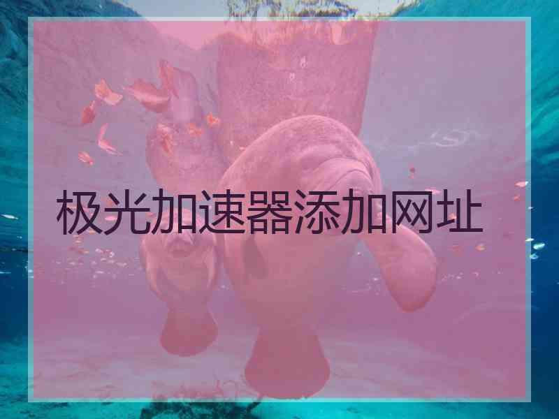 极光加速器添加网址