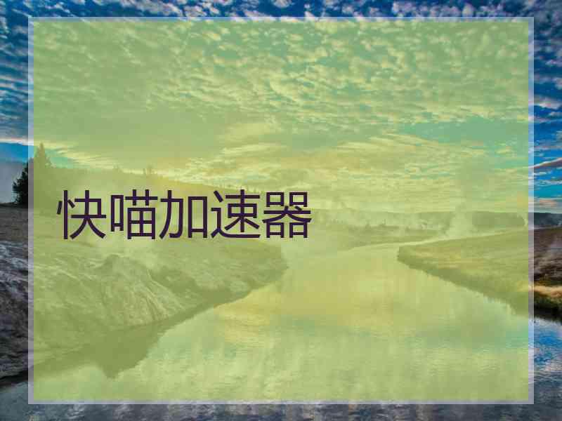 快喵加速器