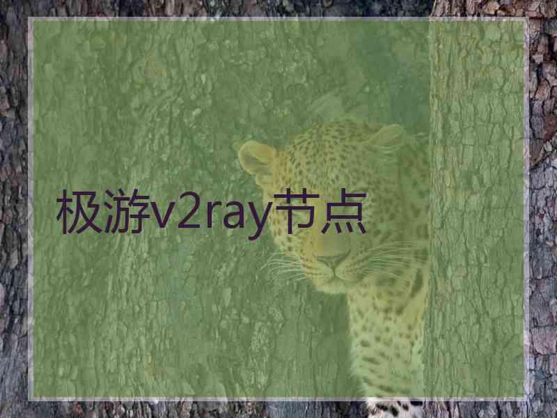 极游v2ray节点