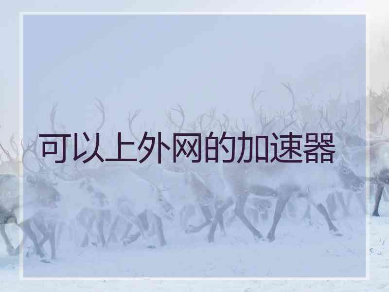 可以上外网的加速器