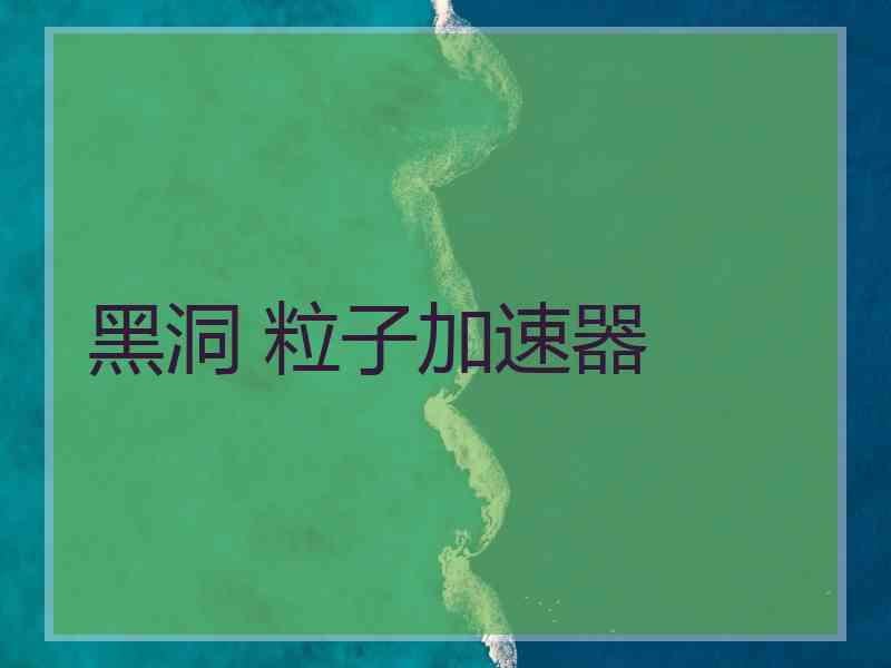 黑洞 粒子加速器