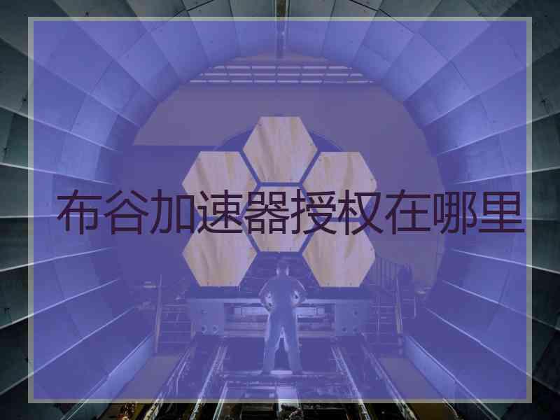 布谷加速器授权在哪里