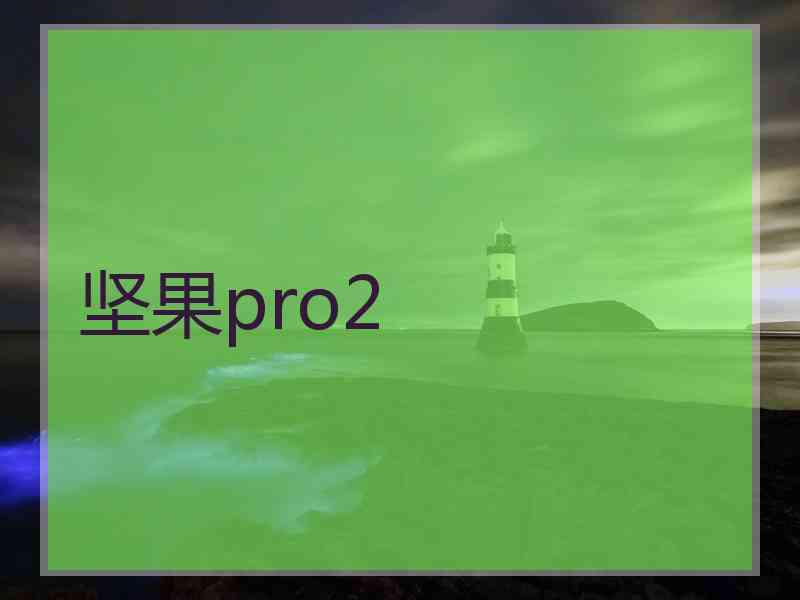 坚果pro2