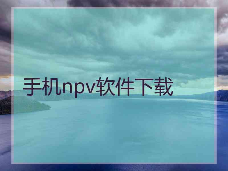 手机npv软件下载