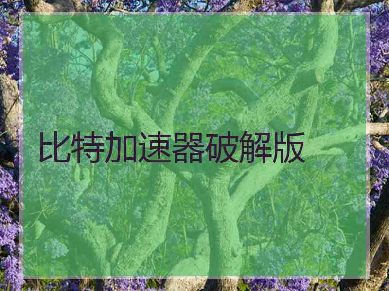 比特加速器破解版