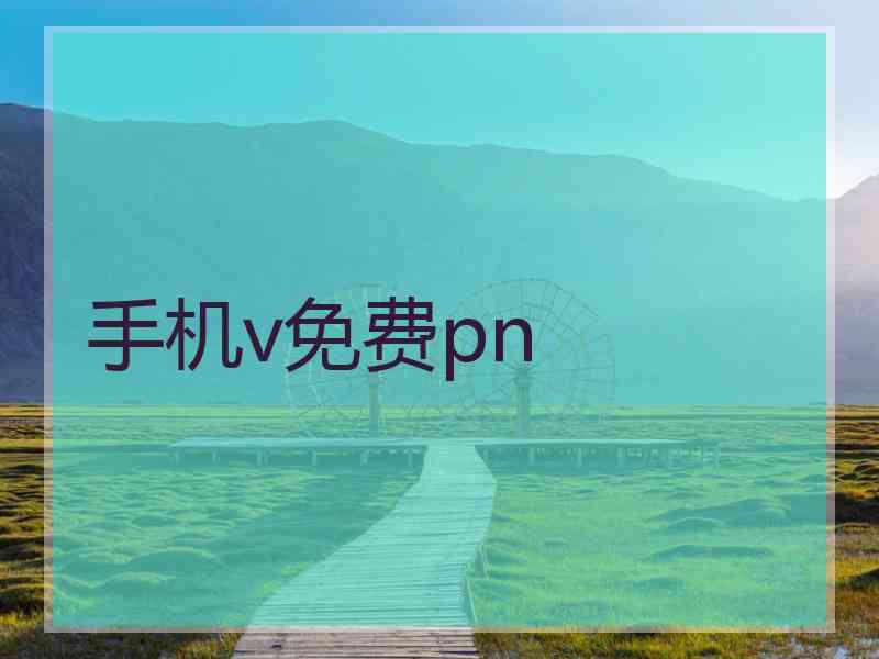 手机v免费pn