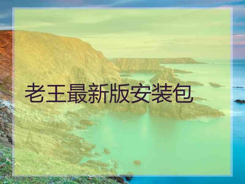 老王最新版安装包