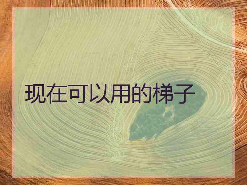 现在可以用的梯子