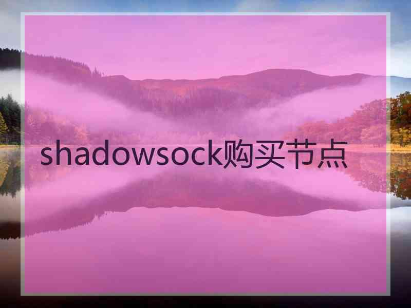 shadowsock购买节点