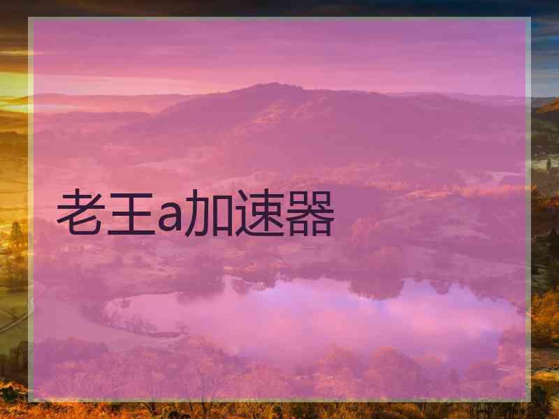 老王a加速器