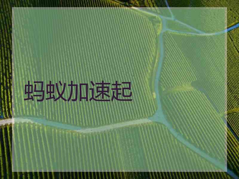 蚂蚁加速起