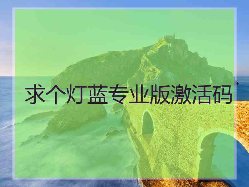 求个灯蓝专业版激活码