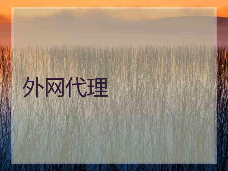 外网代理