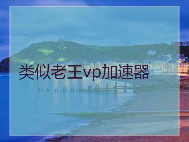 类似老王vp加速器