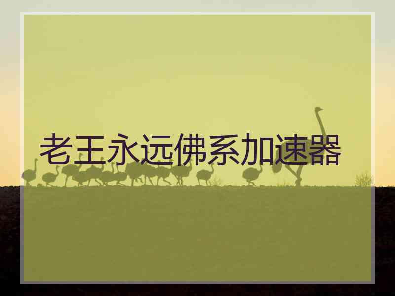 老王永远佛系加速器