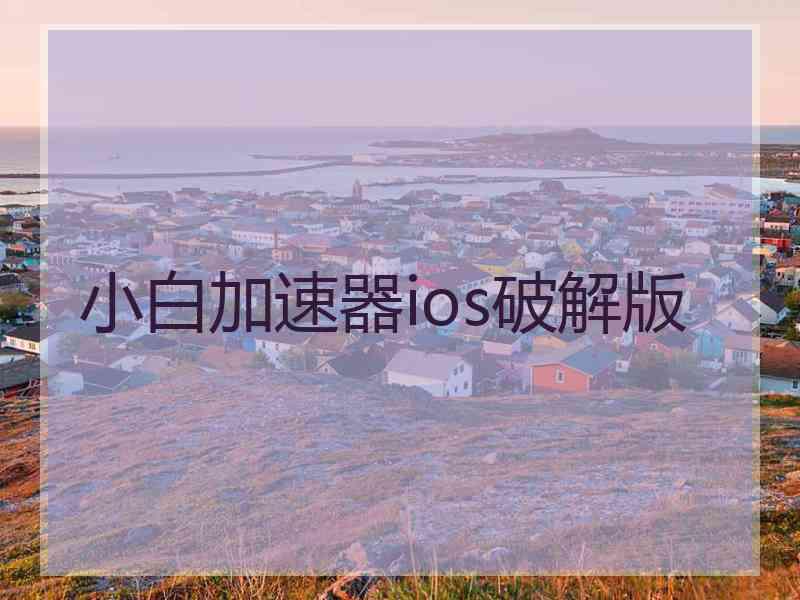 小白加速器ios破解版