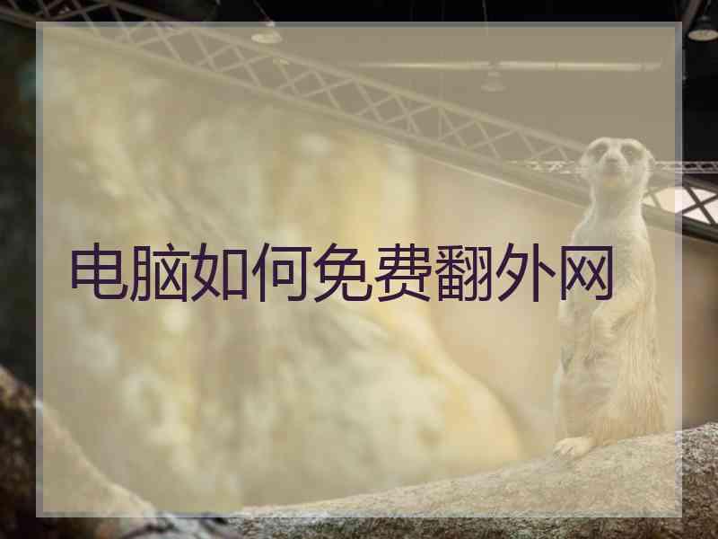 电脑如何免费翻外网