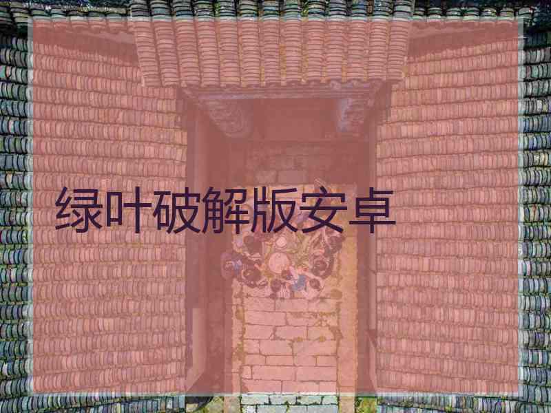 绿叶破解版安卓