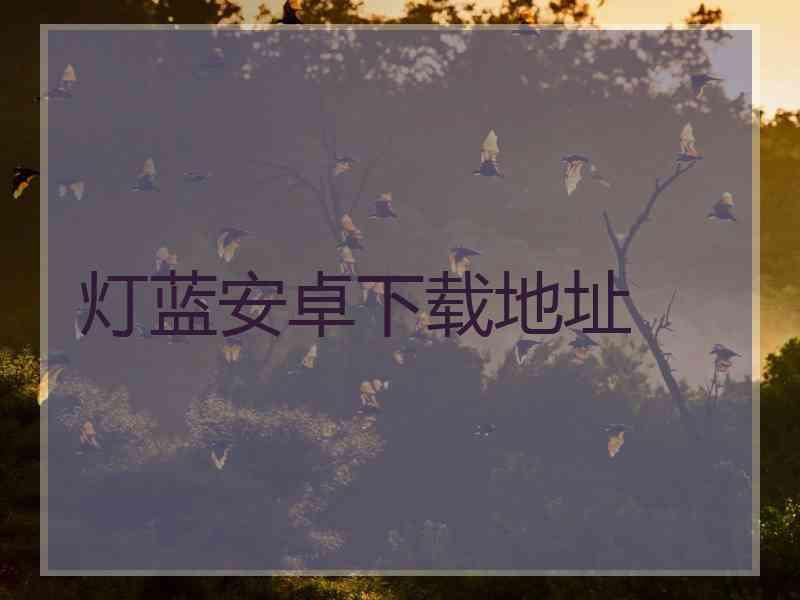 灯蓝安卓下载地址