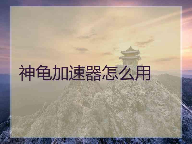 神龟加速器怎么用