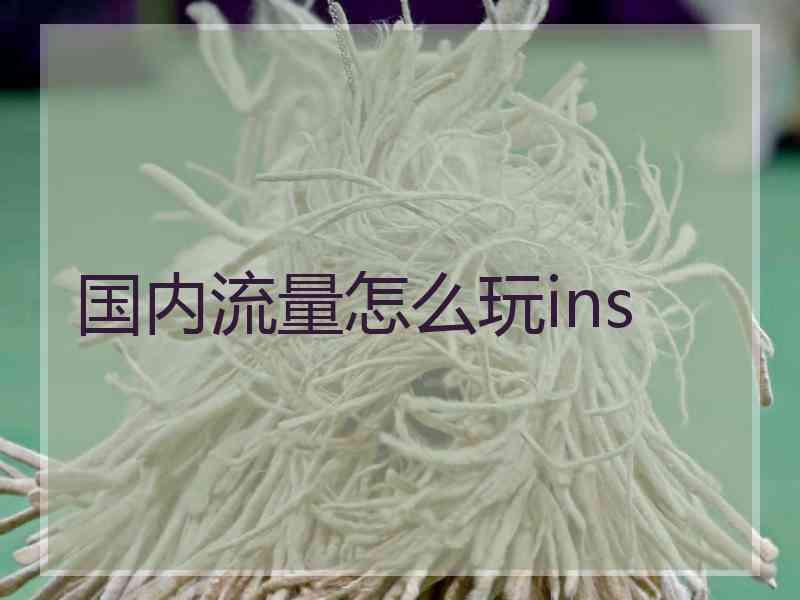国内流量怎么玩ins
