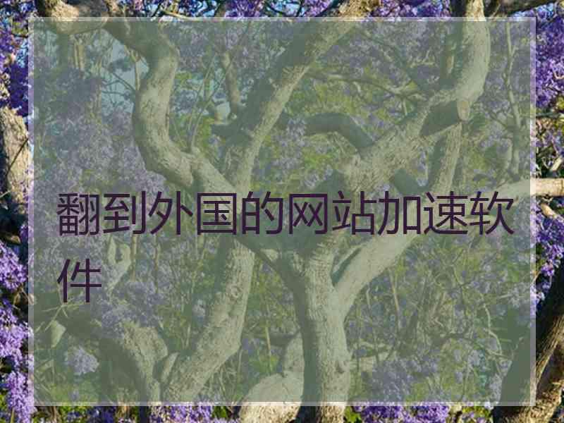 翻到外国的网站加速软件