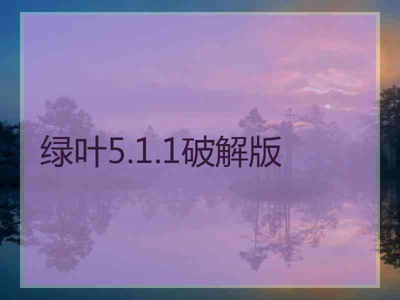 绿叶5.1.1破解版