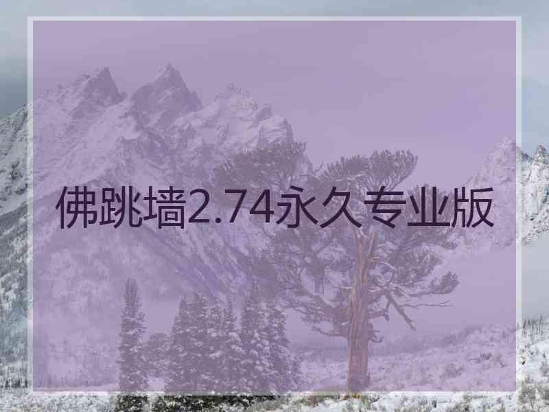 佛跳墙2.74永久专业版