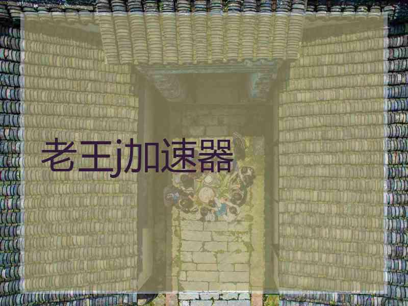 老王j加速器