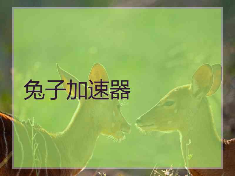 兔子加速器