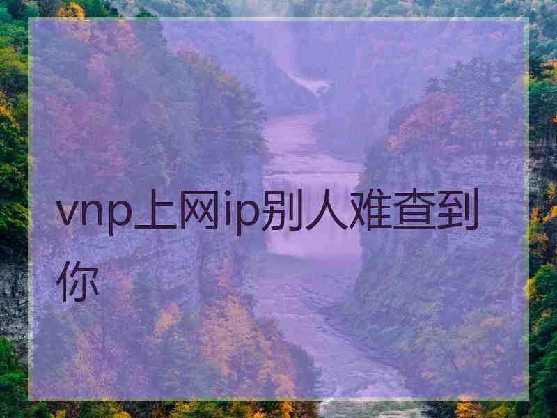 vnp上网ip别人难查到你