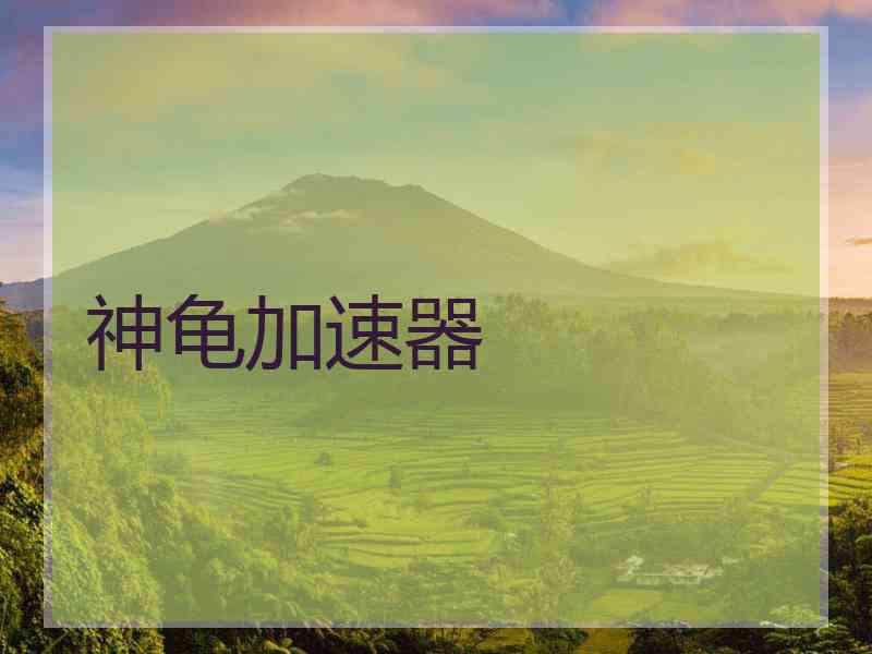 神龟加速器