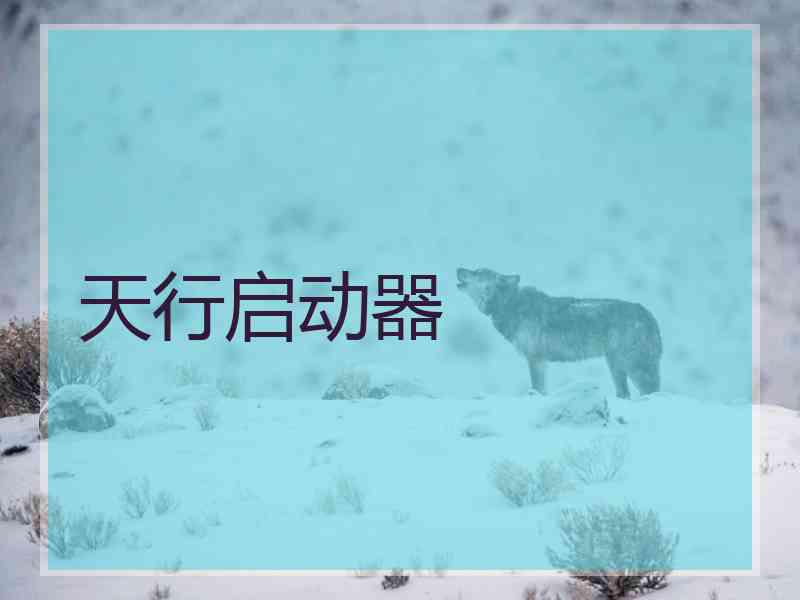 天行启动器