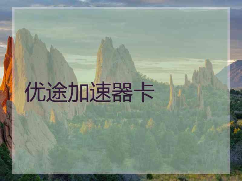 优途加速器卡
