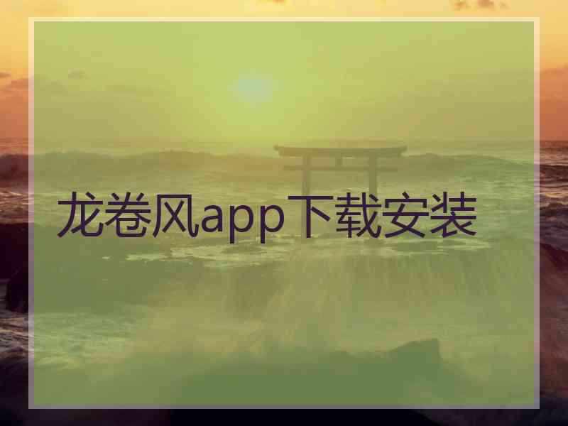 龙卷风app下载安装