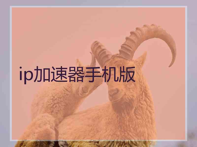ip加速器手机版
