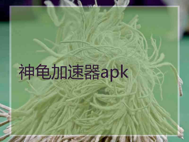 神龟加速器apk