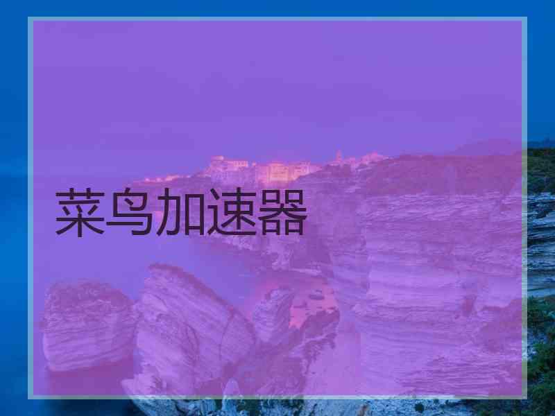 菜鸟加速器