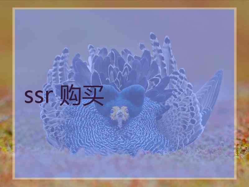 ssr 购买