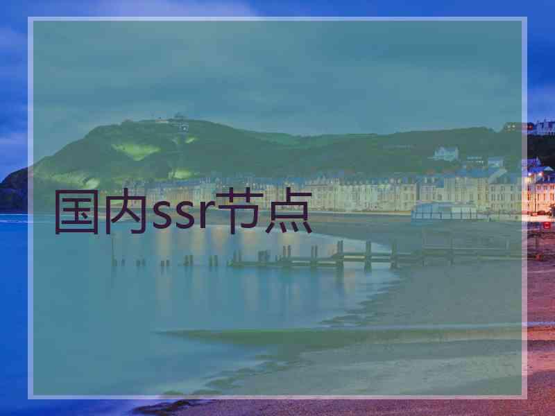 国内ssr节点