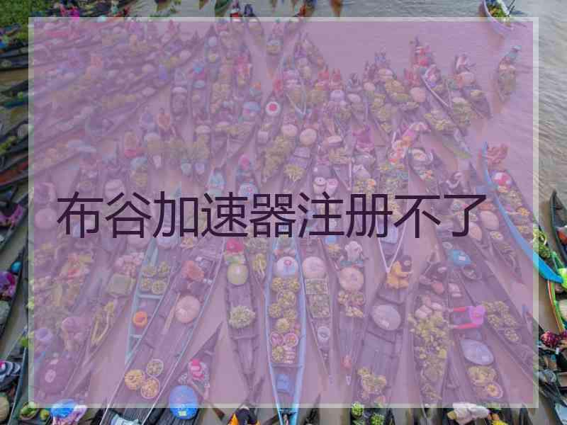 布谷加速器注册不了